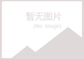 林西县夏岚采矿有限公司